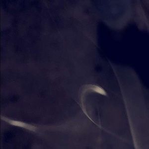 Meet your Posher, Bella